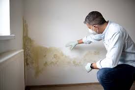 Trusted Cary, IL Mold Removal & Remediation Experts